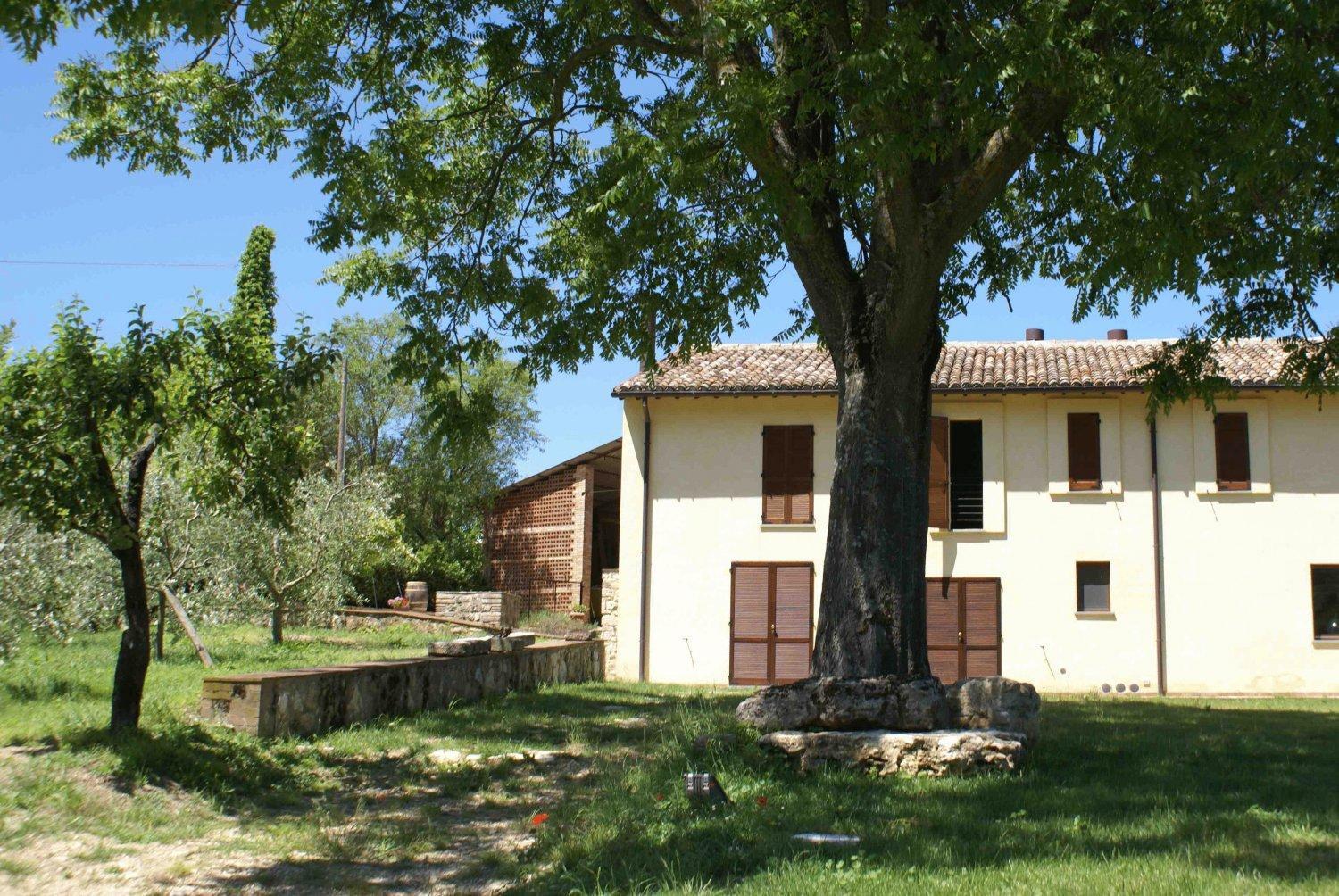 Вилла La Perticara Agriturismo Acquasparta Экстерьер фото
